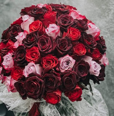 100 Roses Mix