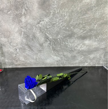 Κλαδί τριαντάφυλλο forever 