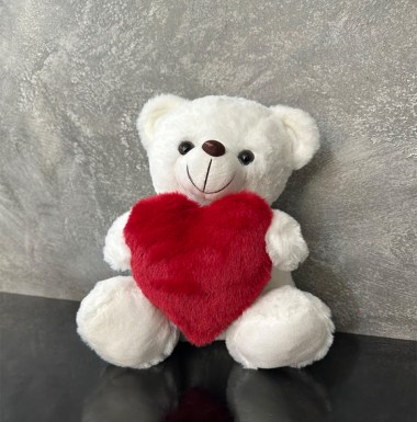 Teddy Bear with red heart 