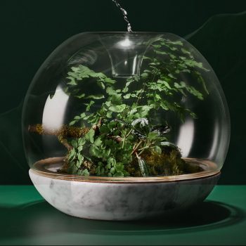 Τα πέντε φυτά που θα σας βοηθήσουν να κοιμηθείτε καλύτερα!